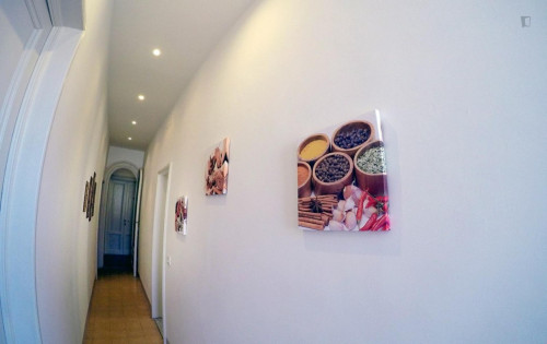 Cosy single bedroom with private bathroom in Florence city centre - Gallery - 7