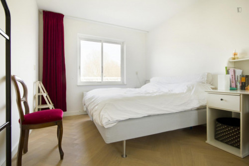 2-Bedroom apartment near Amsterdam RAI transport station