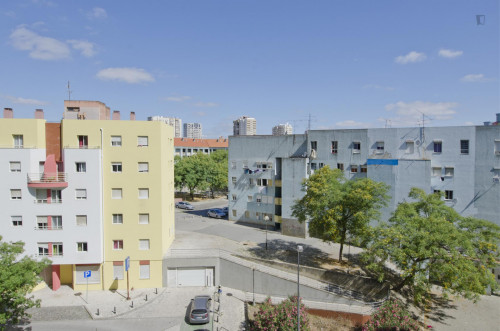 Great single bedroom in Olaias - Gallery - 17