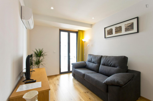 Marvellous 1-bedroom flat in Santo Ildefonso