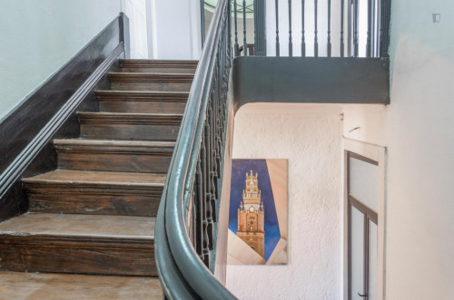 Fresh and ample studio near the Lapa metro, in Cedofeita - Gallery - 2