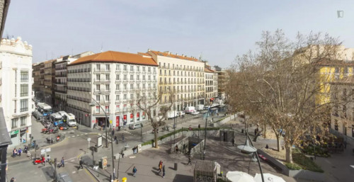 Very neat double bedroom in Lavapiés-Embajadores - Gallery - 5