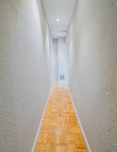 Relaxing double bedroom in a student flat, in Gaztambide