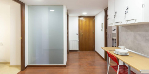 Luminous double bedroom close to Avenida de la Paz Metro