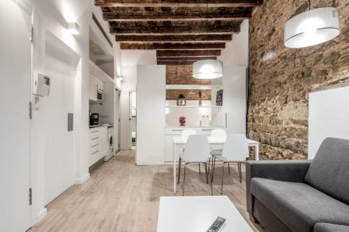 Compact and stylish 2-bedroom apartment near the Museo Picasso de Barcelona  - Gallery -  2