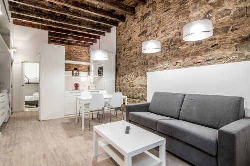 Compact and stylish 2-bedroom apartment near the Museo Picasso de Barcelona  - Gallery -  3