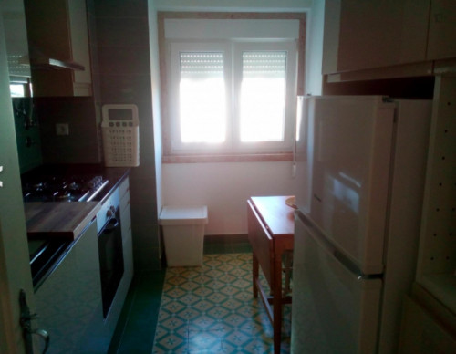 Enjoyable single bedroom near Cidade Universitária  - Gallery -  4