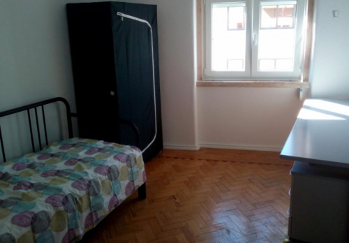 Enjoyable Single Bedroom Near Cidade Universitária  -  Enjoyable single bedroom near Cidade Universitária  - Gallery -  1