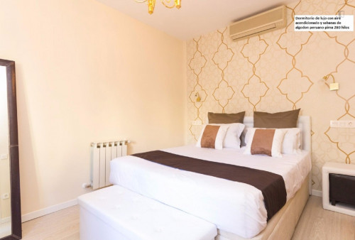 Charming 1-bedroom flat next to Avenida de América metro station