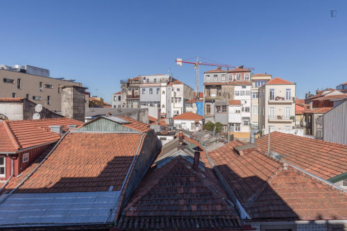 Lovely 1-bedroom apartment close to Universidade Lusófona do Porto - Gallery - 11