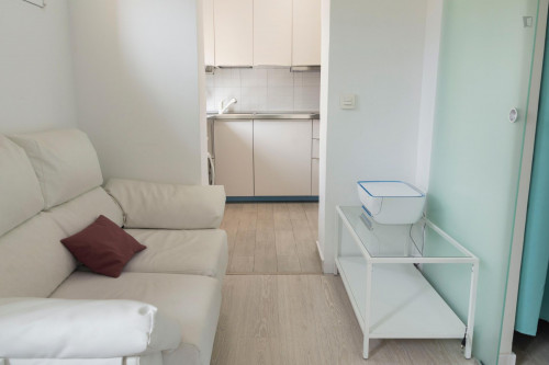 Delightful 1-bedroom flat in Prosperidad - Gallery - 11