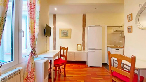 Beautiful 1-bedroom apartment in central Malasaña - Gallery - 22