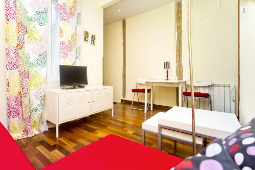Beautiful 1-bedroom apartment in central Malasaña - Gallery - 30