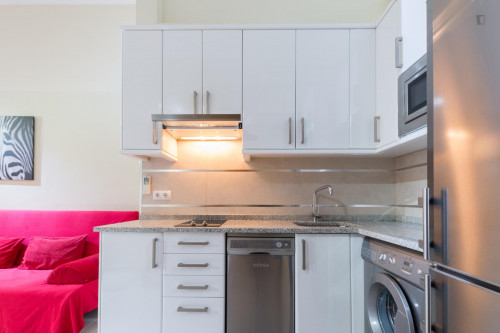 Well-located studio apartment, near Universidad Politécnica de Madrid - Campus Madrid Ciudad - Gallery - 14