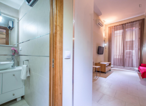 Pleasant studio apartment Puerta del Sol - Madrid centro - Gallery - 8