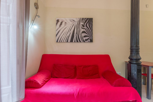 Pleasant studio apartment Puerta del Sol - Madrid centro - Gallery - 13
