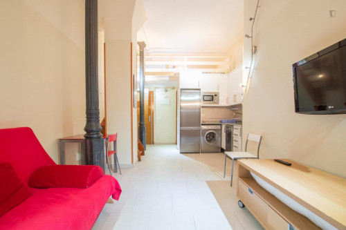 Pleasant studio apartment Puerta del Sol - Madrid centro - Gallery - 15