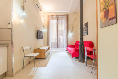 Pleasant studio apartment Puerta del Sol - Madrid centro - Gallery - 16