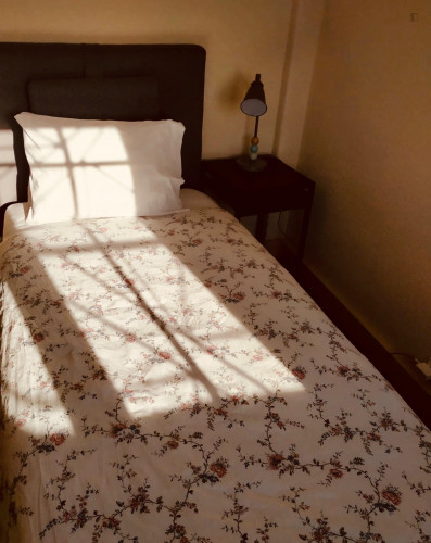 Bright and spacious room in a terraced duplex apartment in the city centre  - Gallery -  2