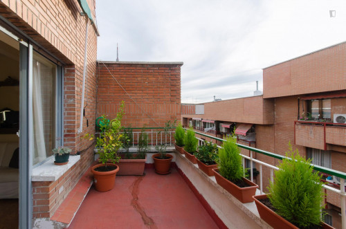Cool single bedroom in the Fuente del Berro neighbourhood - Gallery - 11