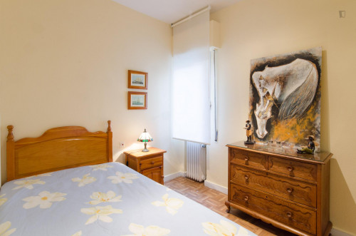 Cool single bedroom in the Fuente del Berro neighbourhood  - Gallery -  1