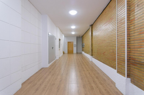 Cool single bedroom in the Fuente del Berro neighbourhood - Gallery - 10