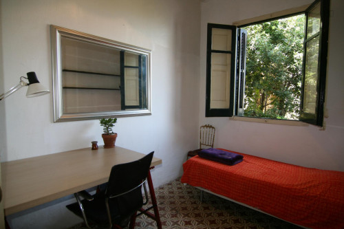 Practical single bedroom in the vicinity of the Escuela Técnica Superior de Arquitectura del Vallès