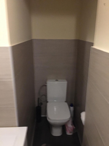 Lovely double bedroom close to IE University - Madrid Campus