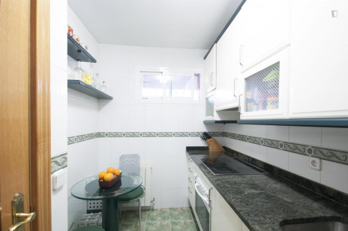 Double ensuite bedroom in bright 3-bedroom flat, in Tetuán