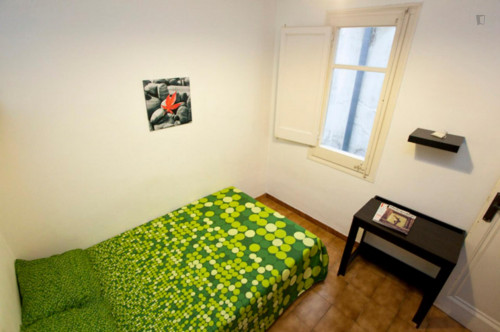 Cosy room in shared flat in Gracia Metro Lesseps  - Gallery -  3