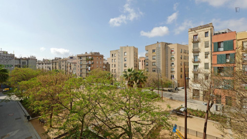 Appealing single bedroom in the heart of Barcelona