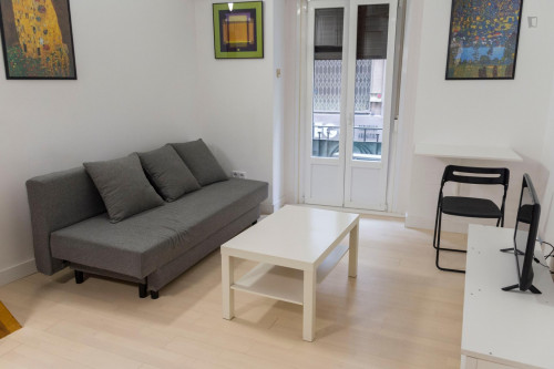Homely studio with a mezzanine, near the Gran Vía metro