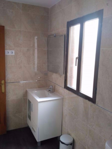 1-bedroom apartment in city centre