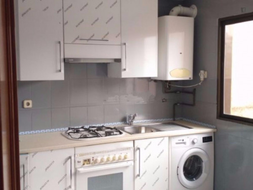 1-bedroom apartment in city centre