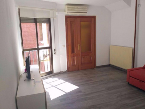 1-bedroom apartment in city centre
