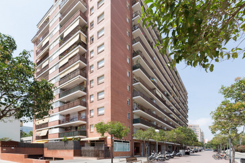 Nice and cosy single bedroom in Provençals del Poblenou