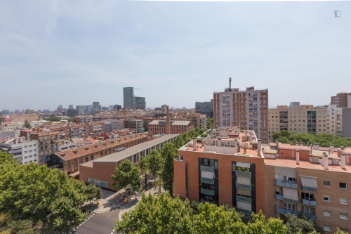 Nice and cosy single bedroom in Provençals del Poblenou