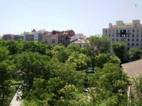 Single bedroom in 4-Bedroom apartment near Embajadores metro station