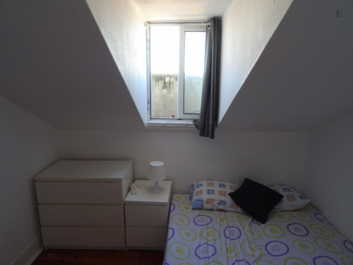 Light double bedroom in a 4-bedroom flat, in São Bento  - Gallery -  3
