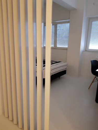 Cute studio in Alvalade  - Gallery -  3