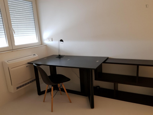 Cute studio in Alvalade  - Gallery -  2