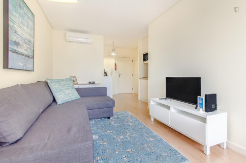Trindade Modern Flat - Gallery - 10