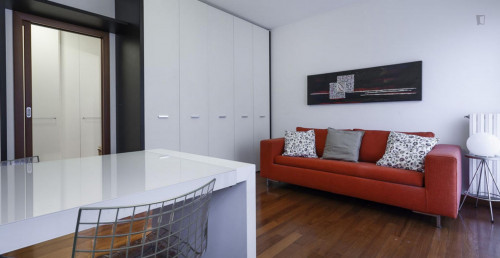 Very cool 2-bedroom apartment in Bicocca - Gallery - 7
