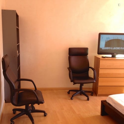 Cosy double bedroom near Lungotevere Flaminio