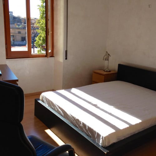 Cosy double bedroom near Lungotevere Flaminio
