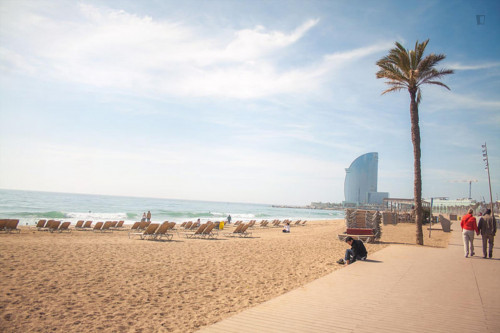 BCN City Center 4BR and 2 BathR - Gallery - 7