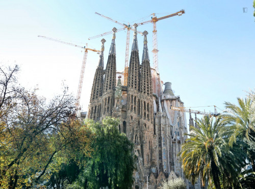 BCN City Center 4BR and 2 BathR