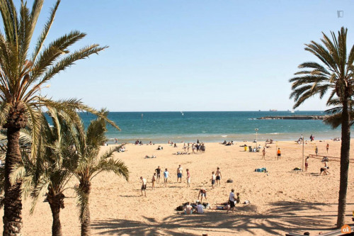 BCN City Center 4BR and 2 BathR