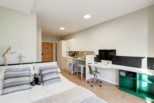  Studio Bronze Plus  -  The Depot Roost  - Gallery -  1