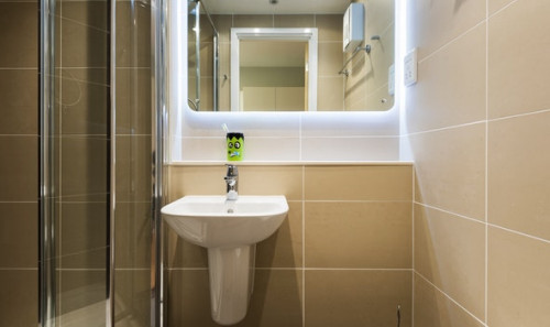  Studio Bronze Plus  -  The Depot Roost  - Gallery -  2